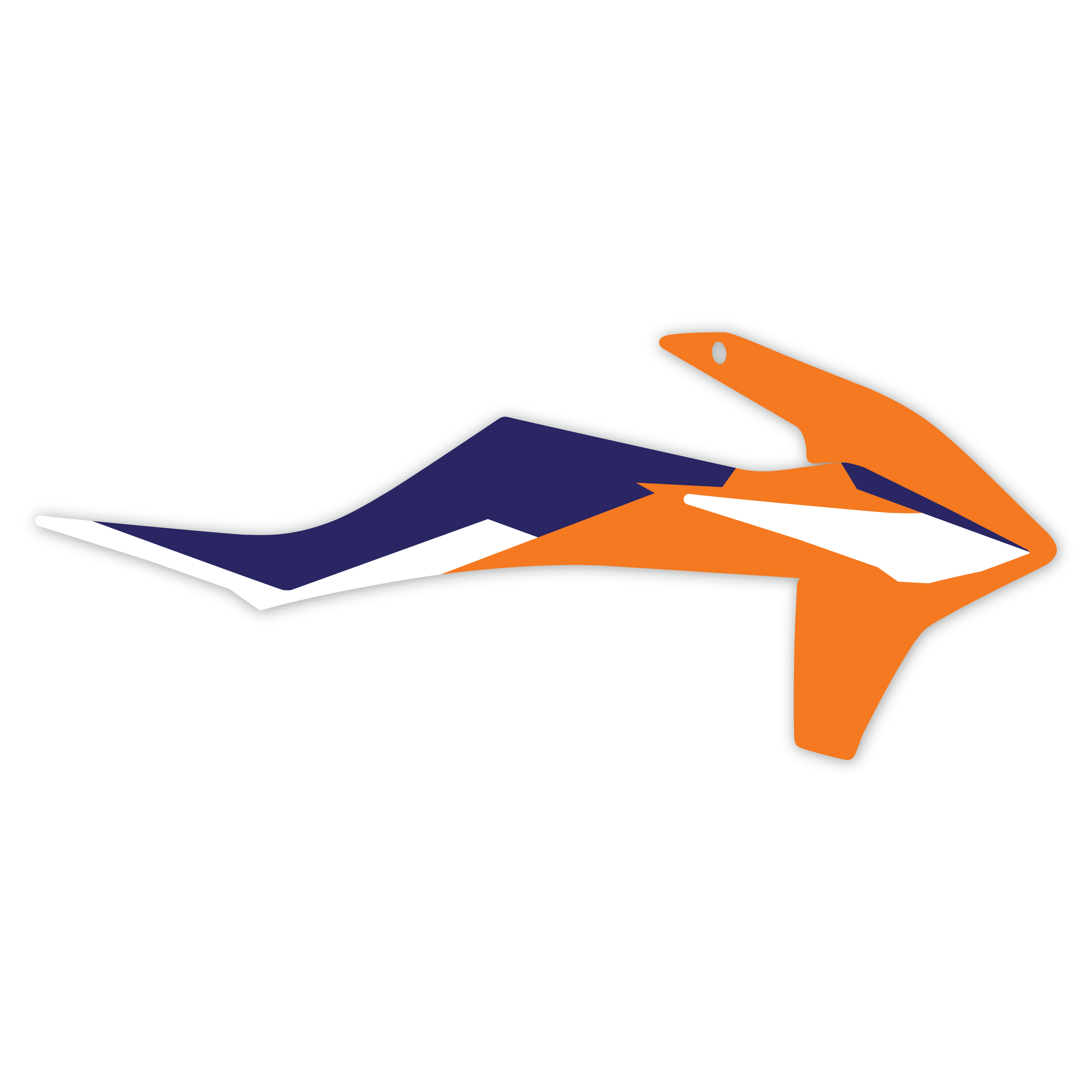 Rad Shrouds // Réimpression